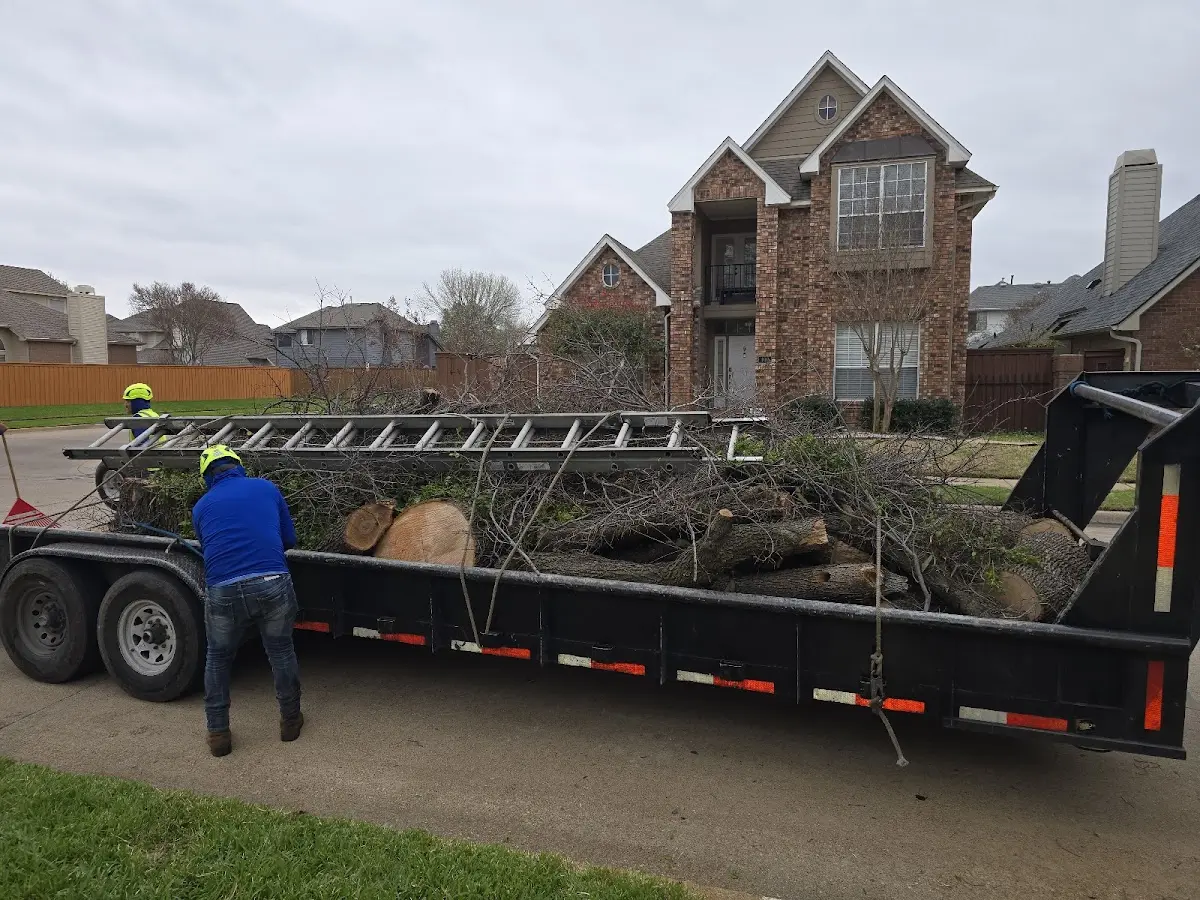 Expert Tree Fertilization with proper safety equipment in Berryton